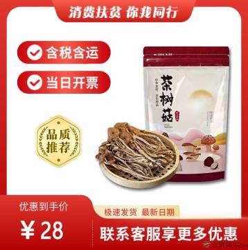 康乐县高原茶树菇200g（包税包邮）