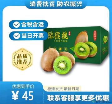 康乐县猕猴桃5斤（包税包邮）