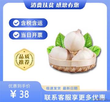 农家鲜百合（包税包邮）