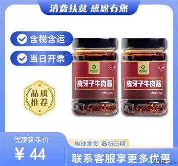 康乐县手工自制皮牙子肉酱2瓶装