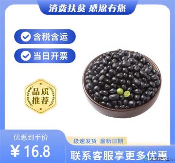 康乐县农家黑豆450g（包邮包税）