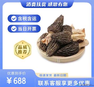 高原羊肚菌500g装（包邮包税）