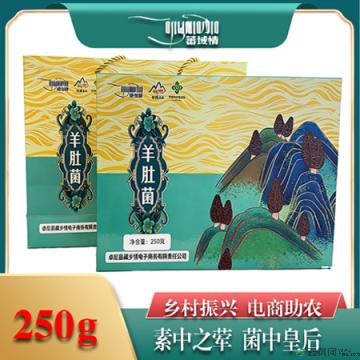 卓尼县高原种植羊肚菌