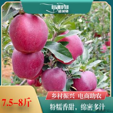 卓尼县高花牛苹果12玫精品礼盒7.5-8斤装