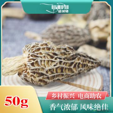 卓尼县藏区高原种植精品羊肚菌