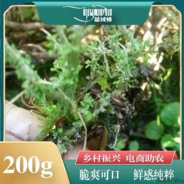 卓尼藏区高原野生鹿角菜200g/袋