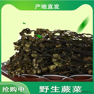 卓尼藏区高原野生蕨菜干500g/盒