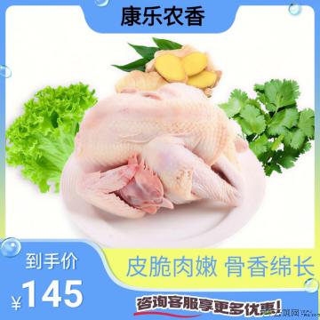 康乐散养土鸡3斤左右