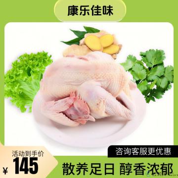 康乐散养土鸡3斤左右