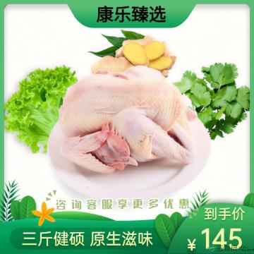 康乐散养土鸡3斤左右