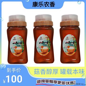 康乐县精品党参蜜500g