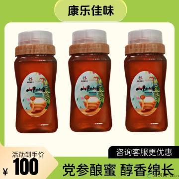 康乐县精品党参蜜500g