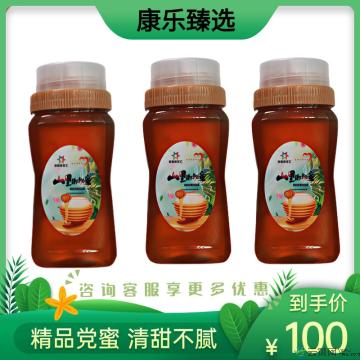 康乐县精品党参蜜500g