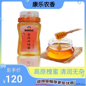 康乐县精品高原洋槐蜜500g