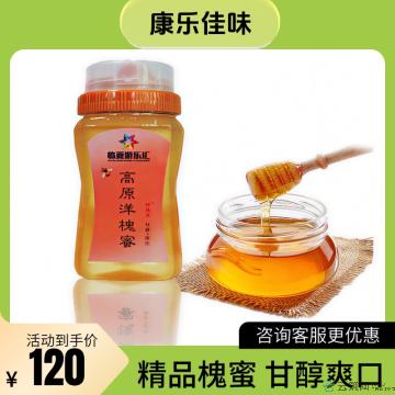 康乐县精品高原洋槐蜜500g