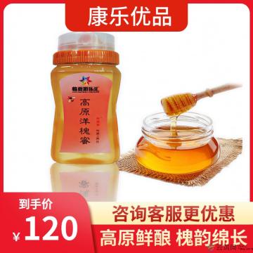 康乐县精品高原洋槐蜜500g（包邮）