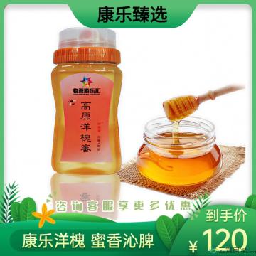 康乐县精品高原洋槐蜜500g