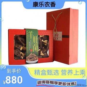 康乐县精品羊肚菌250g/盒