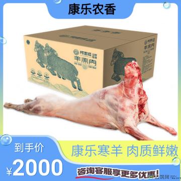 康乐本地小尾寒羊整羊25斤-30斤（包邮）