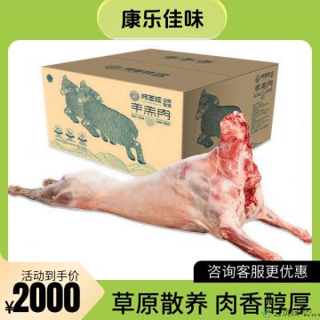 康乐本地小尾寒羊整羊25斤-30斤