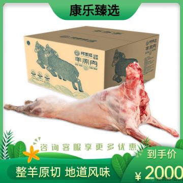 康乐本地小尾寒羊整羊25斤-30斤