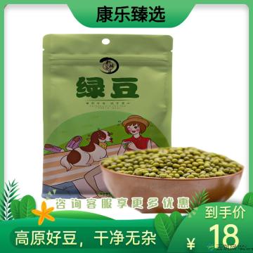 康乐县精品绿豆500g/包