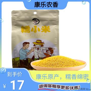 康乐县精选糯小米小米