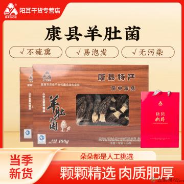 康县头茬干货羊肚菌100克盒装（拍2盒送手提袋）