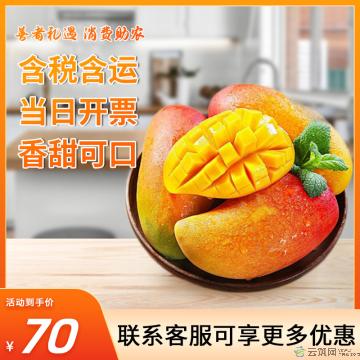 水果类优选香甜凯特芒4.5kg