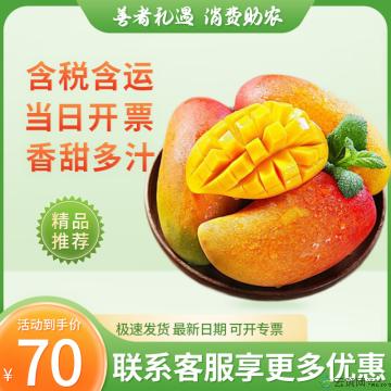 水果类香甜多汁贵妃芒大果(大果约4.5kg)