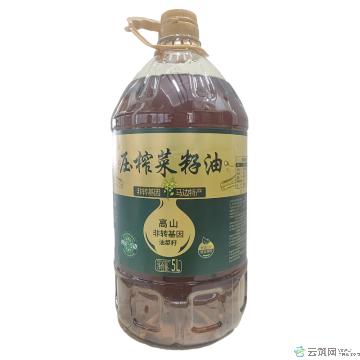 巴蜀乡厨菜籽油