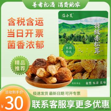 菌菇干货   优选精品赤松茸