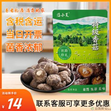 菌菇 优选 精品香菇