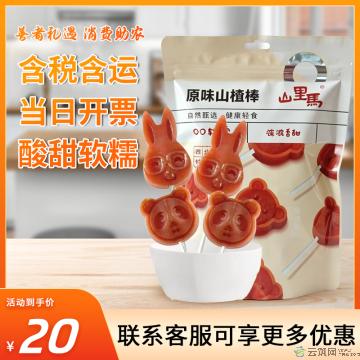 酸甜解腻助消化小零食 原味山楂棒