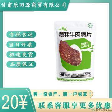 卓尼县高原牛肉脆片休闲追剧零食25g芥末味