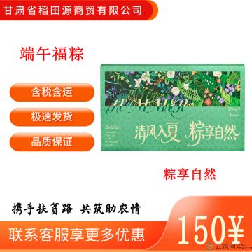 康乐县粽享自然清新森系风礼盒776g