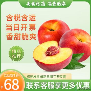 水果  香甜多汁红皮黄肉油桃 3斤
