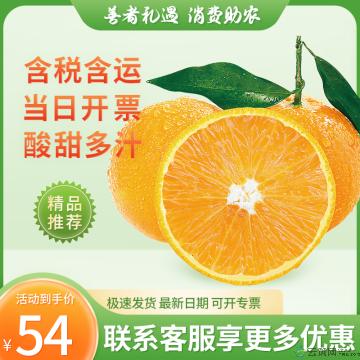 水果香甜  夏橙  满满维C 5斤
