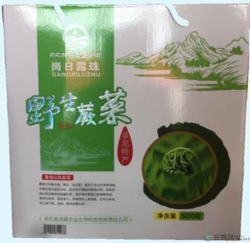 野生蕨菜500克/盒 卓尼藏区野生 凉拌菜 涮火锅健康又美味