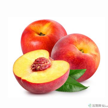 水果  香甜多汁红皮黄肉油桃 4.5斤