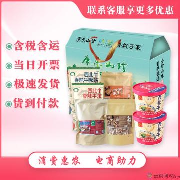 康乐特产熟食大礼包H