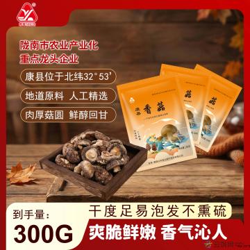 康县香菇100克×3袋／件