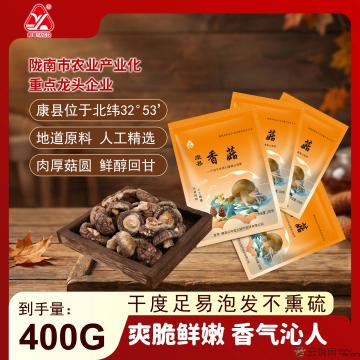 康县香菇100克×4袋／件