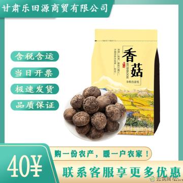 卓尼县天然厚肉干香菇