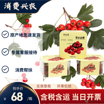 【精品】空心山楂