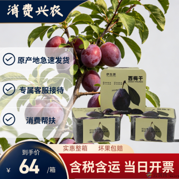【精品】西梅干