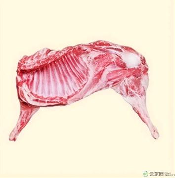 高原牧场半扇羊（不含羊腿）精选牧场优质半扇羊肉，剔除羊腿部分，肉质鲜嫩紧实。按实际重量称斤销售