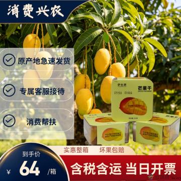 【精品】芒果干