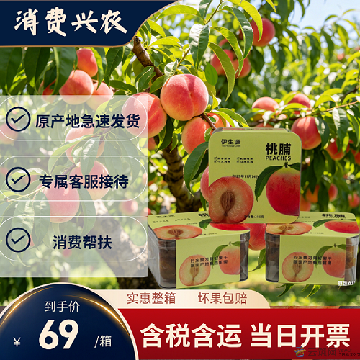 【精品】桃脯
