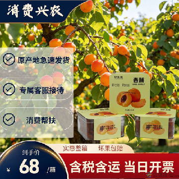 【精品】杏脯